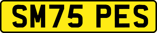 SM75PES