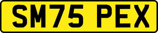 SM75PEX