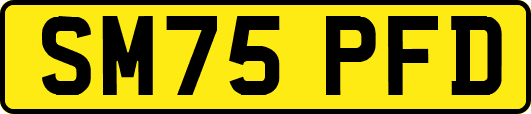 SM75PFD