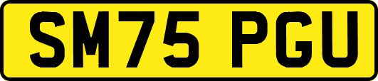 SM75PGU
