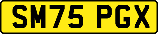 SM75PGX