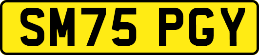SM75PGY