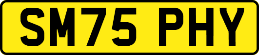 SM75PHY