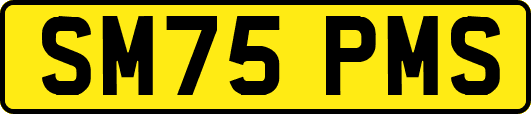 SM75PMS