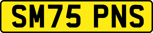 SM75PNS