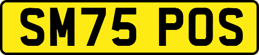 SM75POS