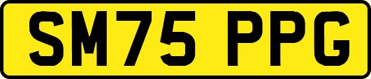 SM75PPG