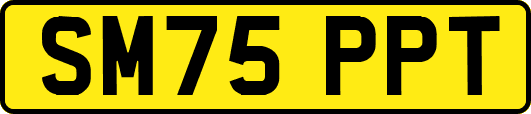SM75PPT