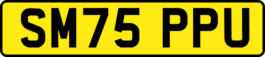 SM75PPU