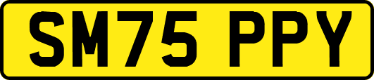 SM75PPY
