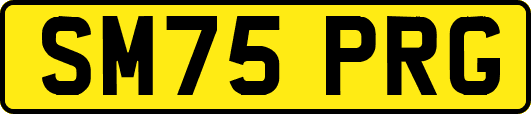 SM75PRG