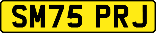SM75PRJ