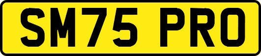 SM75PRO