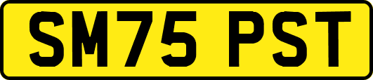 SM75PST