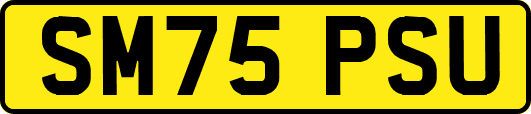 SM75PSU