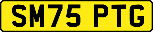 SM75PTG