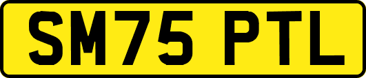 SM75PTL