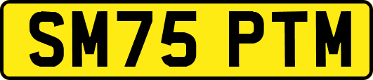 SM75PTM