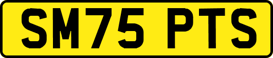 SM75PTS