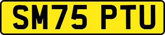 SM75PTU