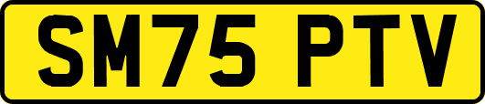 SM75PTV