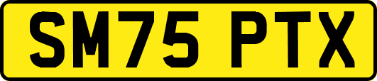 SM75PTX