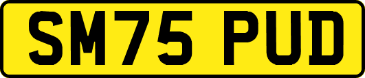 SM75PUD