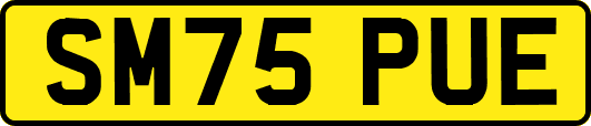 SM75PUE