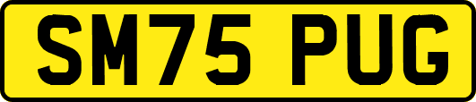 SM75PUG