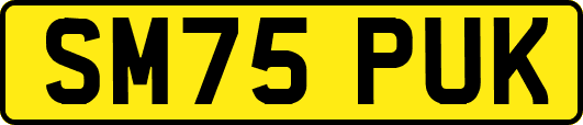 SM75PUK