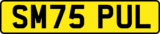 SM75PUL