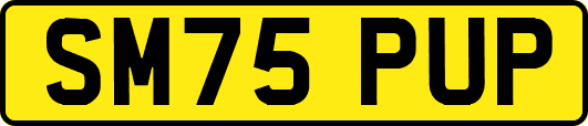 SM75PUP
