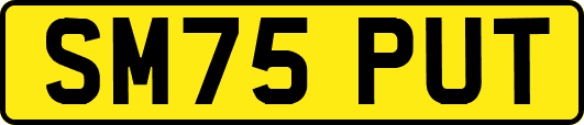 SM75PUT