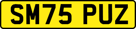 SM75PUZ