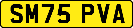 SM75PVA