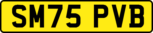 SM75PVB
