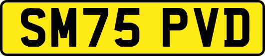 SM75PVD