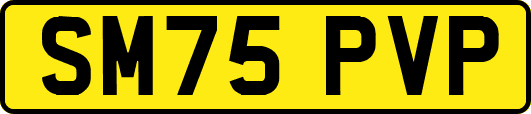 SM75PVP