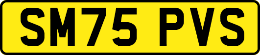 SM75PVS