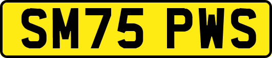 SM75PWS