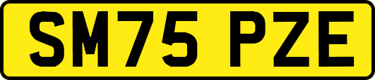 SM75PZE