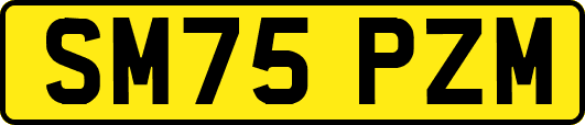 SM75PZM