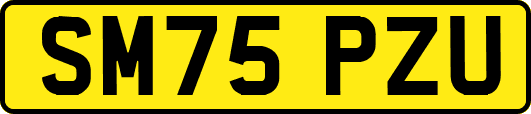 SM75PZU