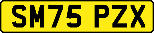 SM75PZX