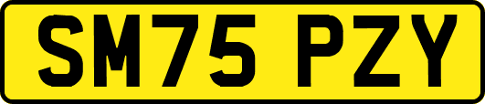 SM75PZY