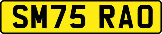 SM75RAO
