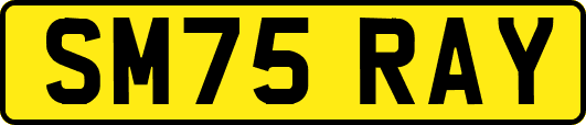 SM75RAY