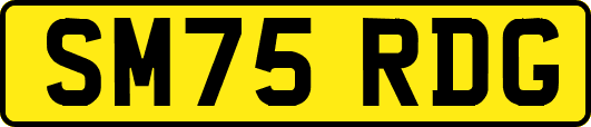 SM75RDG