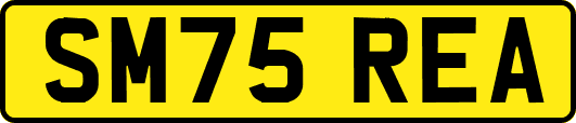 SM75REA