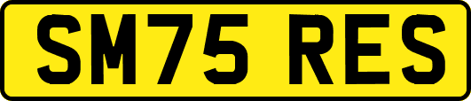SM75RES